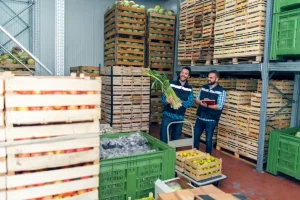 Bulk Buyers for Expiring Grocery Inventory Bulk Buyers for Expiring Grocery Inventory
