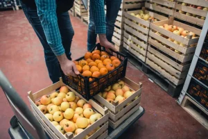 Sell Overstock Organic and Health Foods Sell Overstock Organic and Health Foods