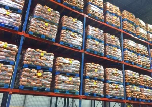 How Do I Sell Close to Expiry Grocery Inventory How Do I Sell Close to Expiry Grocery Inventory